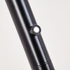 WONSBEK Floor Lamp LED black, 1-light source