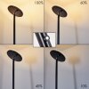 WONSBEK Floor Lamp LED black, 1-light source