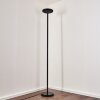 WONSBEK Floor Lamp LED black, 1-light source