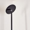 WONSBEK Floor Lamp LED black, 1-light source