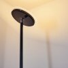 WONSBEK Floor Lamp LED black, 1-light source