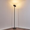 WONSBEK Floor Lamp LED black, 1-light source