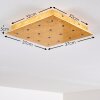 PIONNAT Ceiling light LED gold, 16-light sources