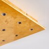 PIONNAT Ceiling light LED gold, 16-light sources
