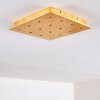 PIONNAT Ceiling light LED gold, 16-light sources