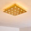 PIONNAT Ceiling light LED gold, 16-light sources