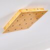 PIONNAT Ceiling light LED gold, 16-light sources