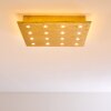 PIONNAT Ceiling light LED gold, 16-light sources