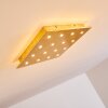 PIONNAT Ceiling light LED gold, 16-light sources