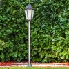 HONGKONG FROST outdoor floor lamp black, 1-light source