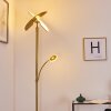 CAZIS Floor Lamp LED brass, 2-light sources