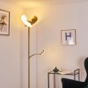 CAZIS Floor Lamp LED brass, 2-light sources