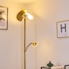 CAZIS Floor Lamp LED brass, 2-light sources