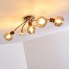Arconciel Ceiling Light brown, 5-light sources