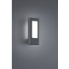 Trio RHINE Outdoor Wall Light LED anthracite, 2-light sources
