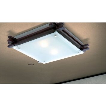 Globo EDISON ceiling light clear, 2-light sources