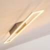 TAMPERE ceiling light LED matt nickel, 4-light sources