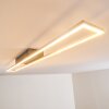 TAMPERE ceiling light LED matt nickel, 4-light sources