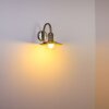 Elima outdoor wall light stainless steel, 1-light source