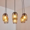 Conewago Pendant Light black, 6-light sources