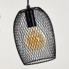 Conewago Pendant Light black, 6-light sources