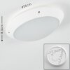 Grafton outdoor ceiling light white, 1-light source