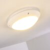 Grafton outdoor ceiling light white, 1-light source