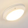 Grafton outdoor ceiling light white, 1-light source
