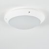 Grafton outdoor ceiling light white, 1-light source