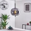 VERBANIA Pendant Light black, 1-light source