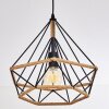 Pendant Light Riekje black, 1-light source
