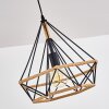 Pendant Light Riekje black, 1-light source