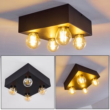 FRIA Ceiling Light black, 4-light sources