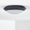 Grafton outdoor ceiling light anthracite, 1-light source