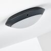 Grafton outdoor ceiling light anthracite, 1-light source