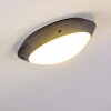 Grafton outdoor ceiling light anthracite, 1-light source