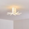 Bangor Ceiling Light LED white, 1-light source