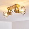 Nifun Ceiling Light brown, green, 2-light sources