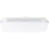 Brilliant Ariella Ceiling Light LED white, 1-light source