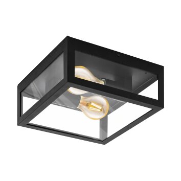 Eglo AMEZOLA Wall and Ceiling Light black, 2-light sources