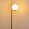 HOGATZA Floor Lamp brass, 1-light source