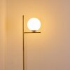 HOGATZA Floor Lamp brass, 1-light source