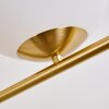 HOGATZA Floor Lamp brass, 1-light source