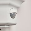 Brissago Outdoor Wall Light white, 1-light source, Motion sensor