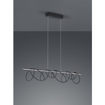 Reality SABA Pendant Light LED black, 1-light source