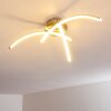 WIKON Ceiling light LED matt nickel, 3-light sources