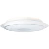 Brilliant VIKTOR Ceiling Light LED silver, 1-light source, Remote control, Colour changer
