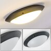 Grafton outdoor ceiling light anthracite, 2-light sources
