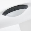 Grafton outdoor ceiling light anthracite, 2-light sources