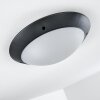 Grafton outdoor ceiling light anthracite, 2-light sources